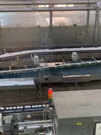 칭다오 여행 필수 코스, 칭다오 맥주 박물관