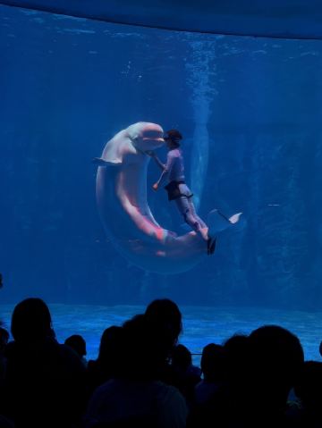 三亞海南四日遊