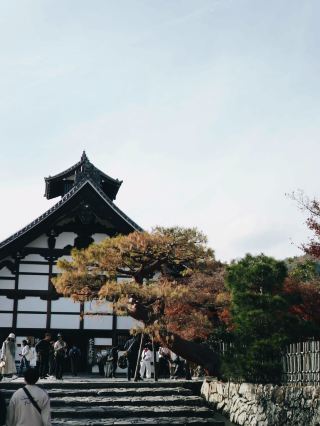 🛕 Tenryu-ji (วัดเท็นริวจิ)