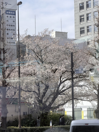 東京から京都へと駆け巡る、あっという間の一日。