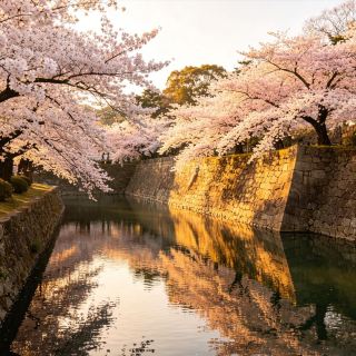 米沢牛の美食と春の花めぐり。