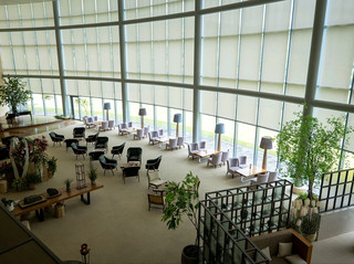 제주 위호텔, 숲과 함께 쉬어가기 좋은 웰니스 리조트 🌿🏨