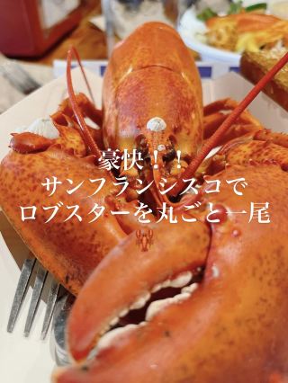 【アメリカ/サンフランシスコ】ロブスターを堪能！🦞