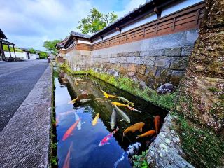 Miyazaki: The Historic Charm of Kyoto Without the Crowds