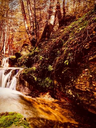 尼泊爾博卡拉湖畔苔蘚森林和平塔咖啡館easytravelpost #博卡拉 #和平塔 #湖畔