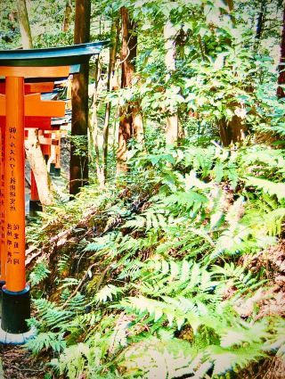  Shirahama’s Sandanbeki Cliffside Sunset Walk