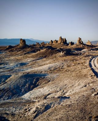 Xinjiang’s Yining Ili River Valley Populus Diversifolia Avenue Autumn Ride