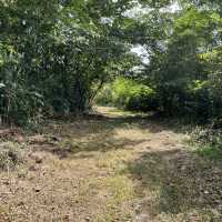 Jones Town