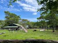 美里鱷魚園迷你野生動園