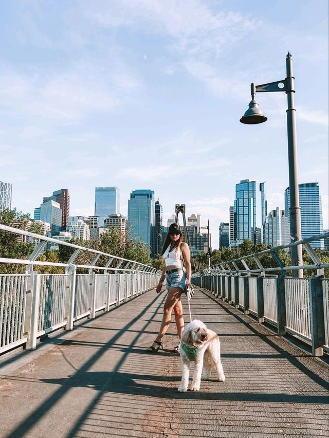 🌿 Prince’s Island Park – Calgary’s Peaceful Downtown Oasis