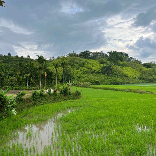 A journey to Indonesia's hidden Gem: Lake Toba