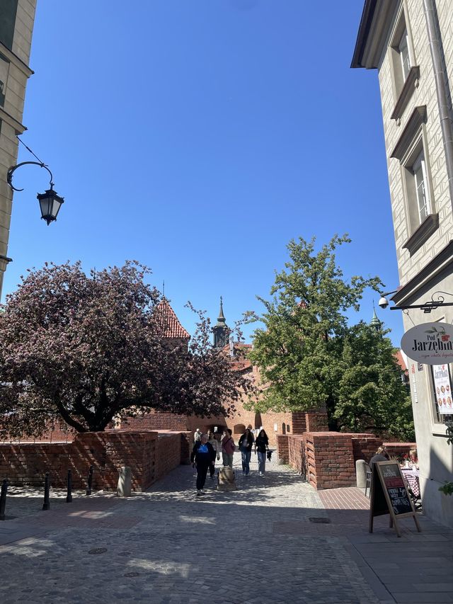 【ポーランド🇵🇱/メルヘンチックな旧市街と人魚の像】