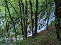 A Journey through Plitvice Lakes 🌿🏞️