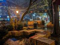 Bratislava Christmas Market 🎄🥳