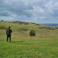 Great old hike, may test your cardio!