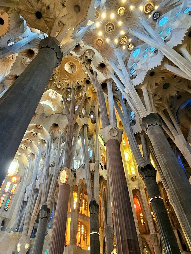 Gazing at Gaudi's Masterpiece