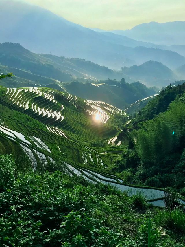 Guilin: Longsheng sunrise at rice terraces