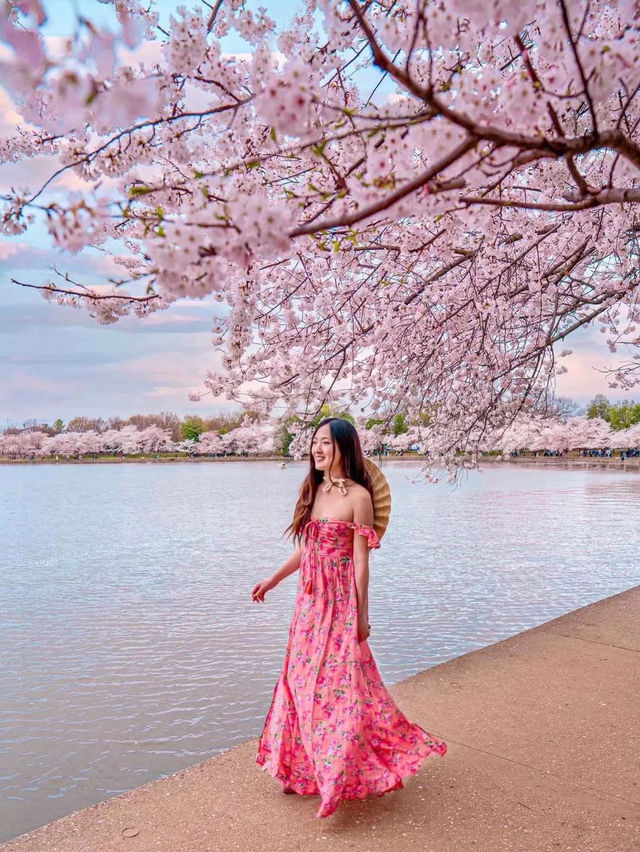 조수 독 🌸 🇺🇸 