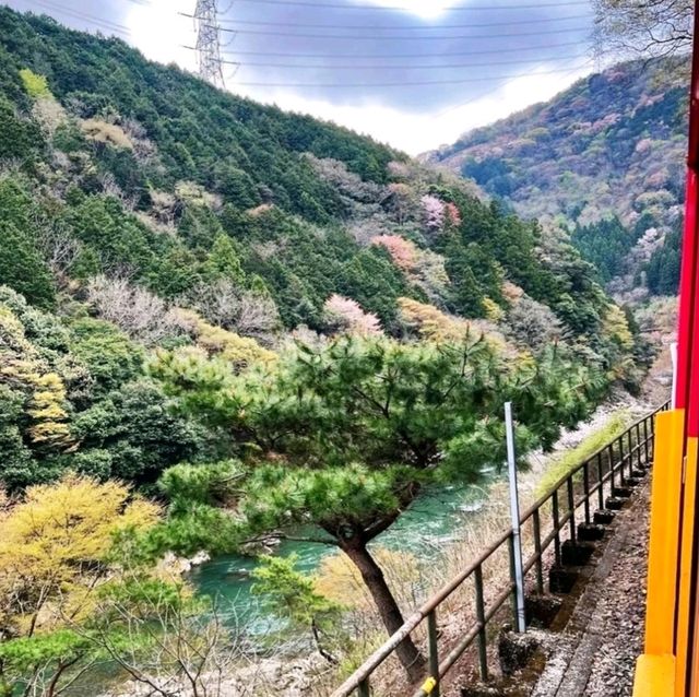 《嵯峨嵐山駅》🌸浪漫風景火車之旅🌸