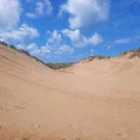 Sand Dunes in Devon UK