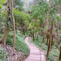 Chengdu Qingcheng Mountain Adventure 🗻