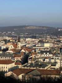 🇨🇿Brno🐊