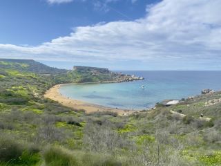 New Year Hikes