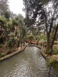 A garden paradise 