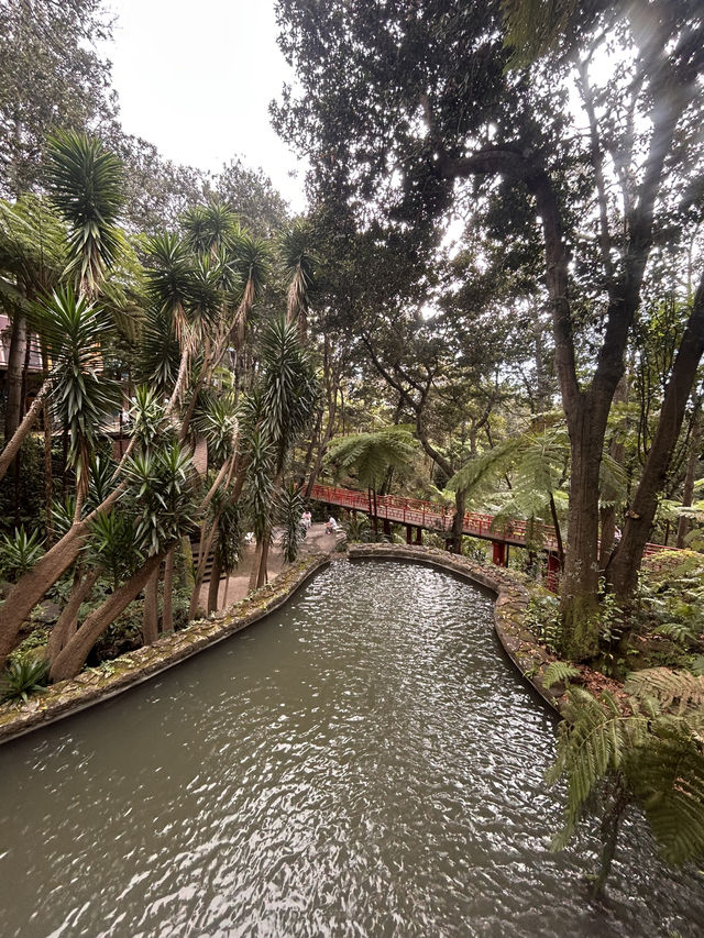 A garden paradise 