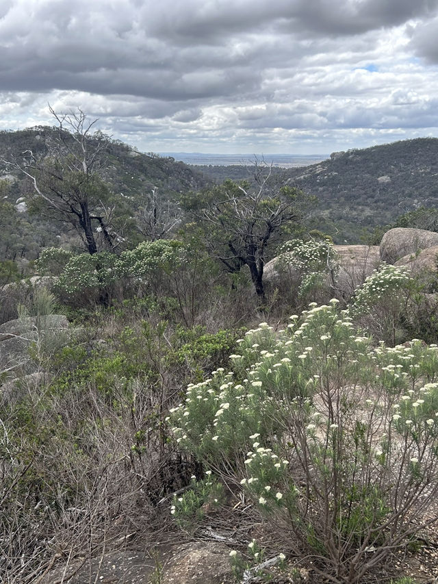 ⛰️🚴 Explore You Yangs Regional Park: Hiking & Biking Among Ancient Granite Peaks