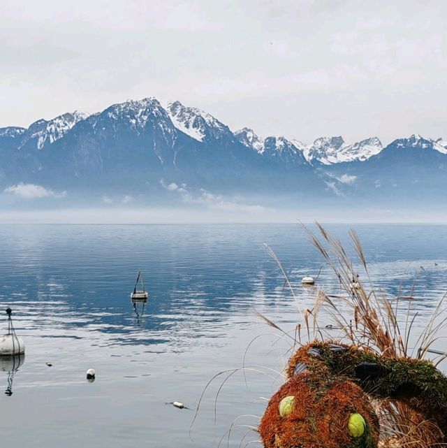 explore animal sculptures along Genève lake in Montreux