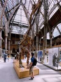 London Day Trip to Pitts Rivers Museum