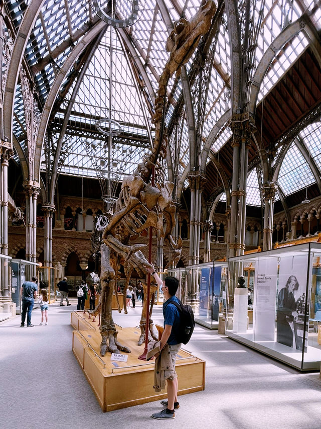 London Day Trip to Pitts Rivers Museum
