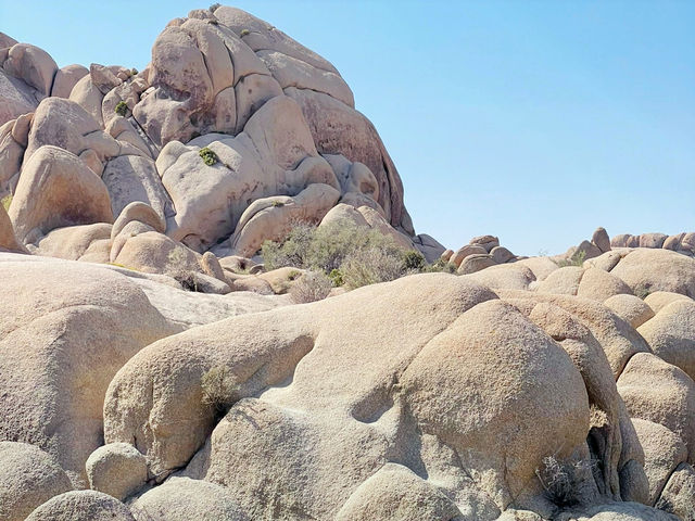 Joshua Tree National Park: A Desert Adventure Wonderland 🌵🎢