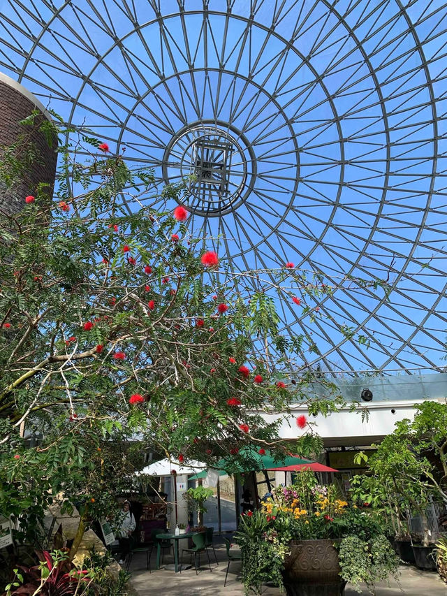 A spring visit to the park with the view of Fuji