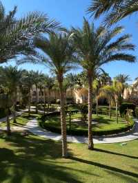 Sharm El Sheikh’s hotels
