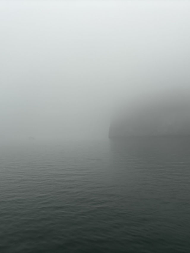 Misty Halong 