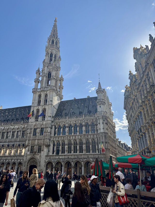 🇧🇪最美的布魯塞爾大廣場（Grand-Place / Grote Markt）
