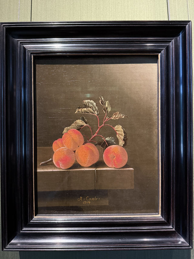 一日遊必去！探訪荷蘭莫瑞泰斯皇家美術館（Mauritshuis）🎨🏛️🌟  