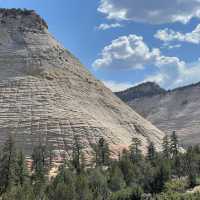 🎰✈️ National Parks from Las Vegas: Your Ultimate Transit & Travel Hub