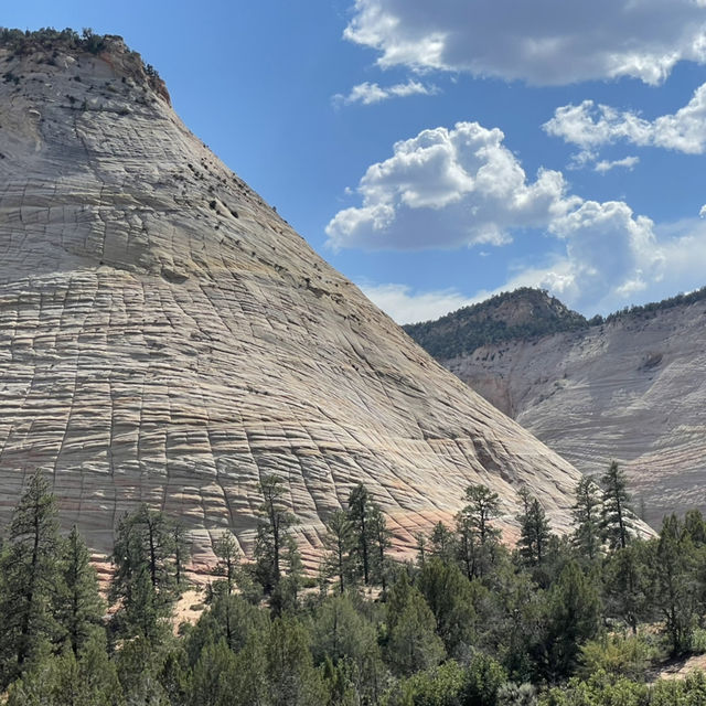 🎰✈️ National Parks from Las Vegas: Your Ultimate Transit & Travel Hub