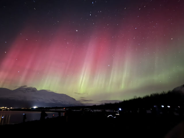 The incredible aurora in Tromsø, Norway💫🪄