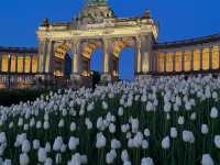  Parc du Cinquantenaire: A Majestic Green Escape in Brussels 🌳🏛️ 