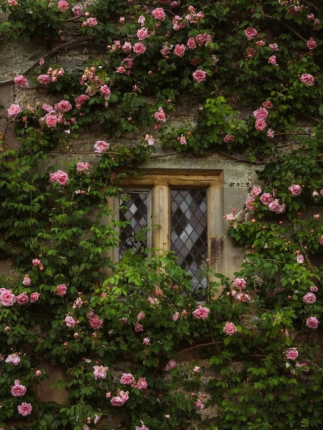 🏰 Haddon Hall – A Timeless Medieval Treasure in the Peak District