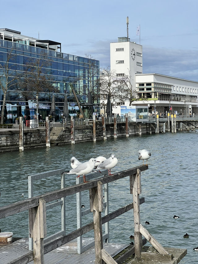 Friedrichshafen, Germany – Where Innovation Meets the Alps ✨🚠 