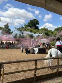 Warwick Castle Joust 