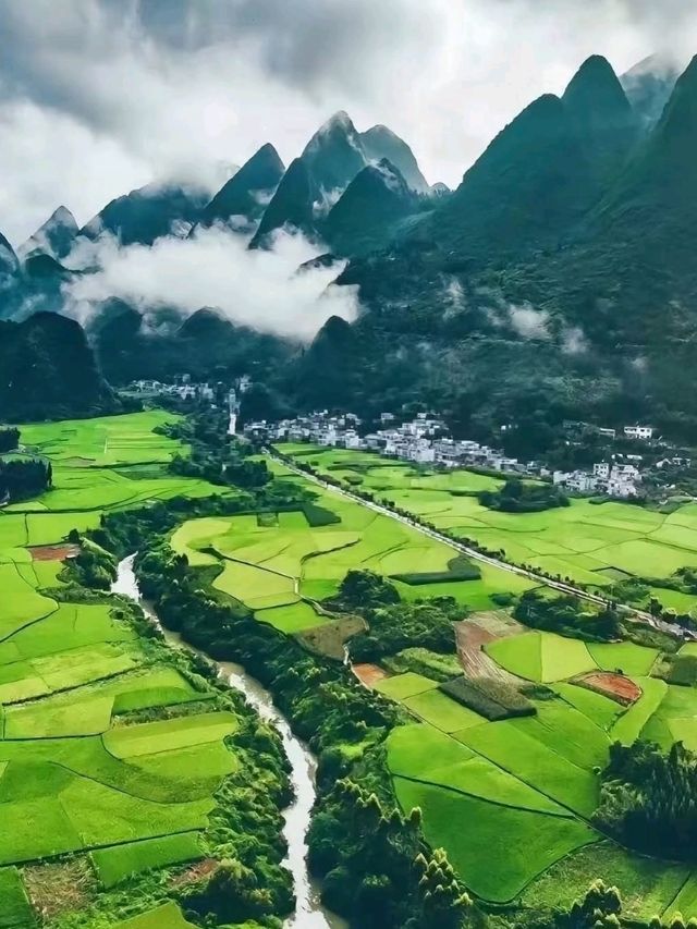 ⛰️ Wanfenglin Scenic Area – The Sea of Ten Thousand Peaks in Guizhou