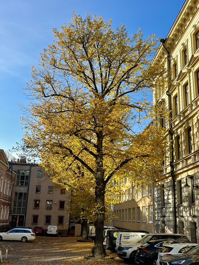 Spend a day in Helsinki on your way to the rest of the Nordics