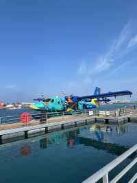 ✈️ The Ultimate Arrival: A Seaplane Ride Over the Maldives