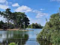 Bois de Boulogne: Must-Do Activities & Halloween Fun 🎃🌳